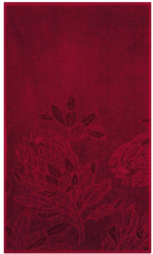 Glodina Kirstenbosch Guest Towel Cotton Guest Towel (Rich Merlo, 50 cm x 30 cm)