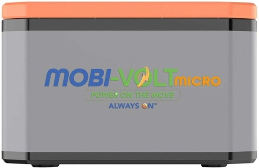 [IVTH2E4ZCNBGDBAS] Power4Less P4L-MMG2000 Pure Sine Wave Inverter (Without Battery)