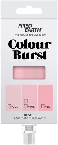 [WNTH7ZAGFCJAHMPH] Fired Earth Colourburst Rested Rested Functional Wall Paint (80 ml)