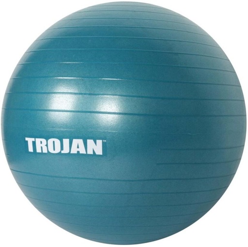 [MDBH7UY2ZBSEZVSA] TROJAN GCAC01_4 Medicine Ball (Weight:  1.12 kg, Blue)