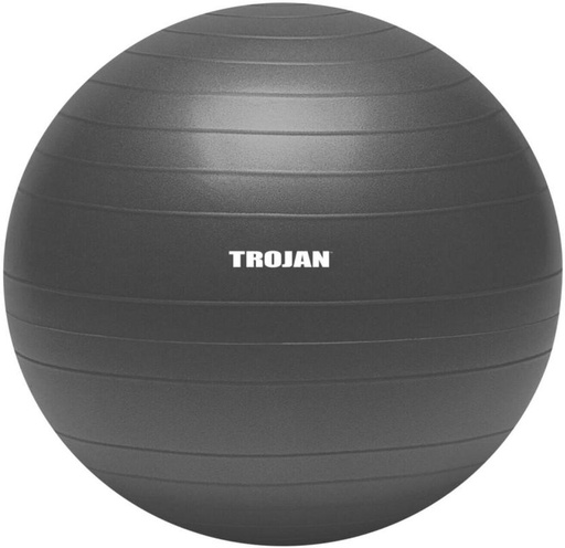 [MDBH7UY2TARCHYGJ] TROJAN GCAC01_11 Medicine Ball (Weight:  1.12 kg, Grey)