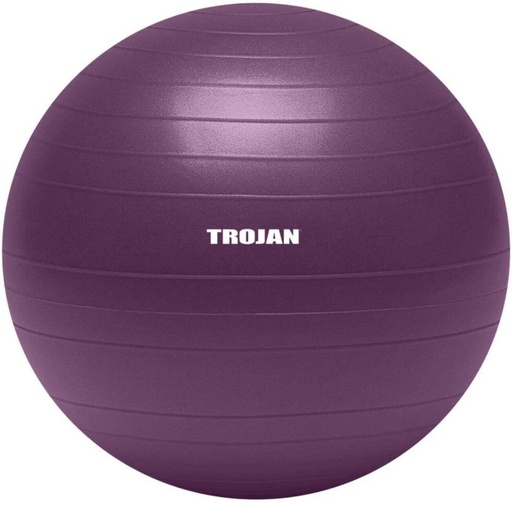 [MDBH7UY2HWRYRDXH] TROJAN GCAC01_8 Medicine Ball (Weight:  1.12 kg, Purple)