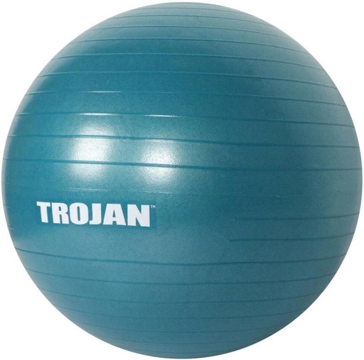 [MDBH7UY2GPTXMWH8] TROJAN GCAC01_9 Medicine Ball (Weight:  0.92 kg, Blue)