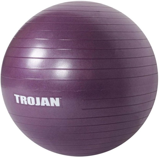 [MDBH7UY2HY2N3ZY8] TROJAN GCAC01_10 Medicine Ball (Weight:  0.92 kg, Purple)