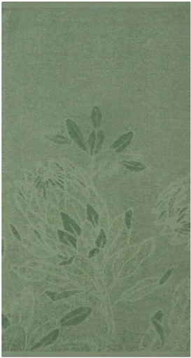 [BTWH4U4ASCVQURTG] Glodina Kirstenbosch Guest Towel Cotton Guest Towel (Olive, 50 cm x 30 cm)
