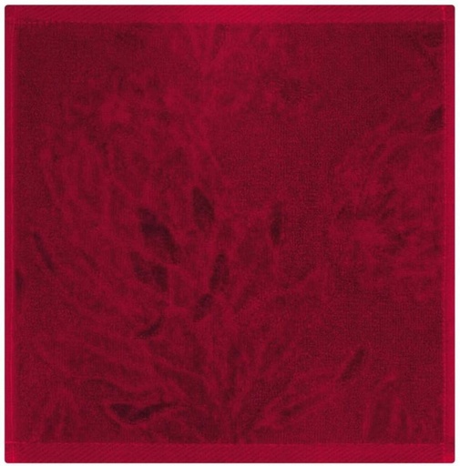 [BTWH4U4ASM88FWWC] Glodina Kirstenbosch Face Cloth Cotton Face Towel (Rich Merlo, 30 cm x 30 cm)