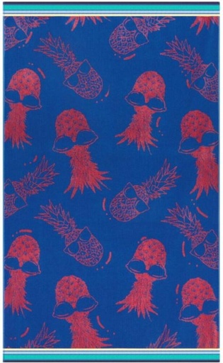 [BTWHFRWXSMBTWRVV] Colibri Velour Beach Towel Cotton Bath Towel (Multicolour, 14.8 inch x 8.5 inch)