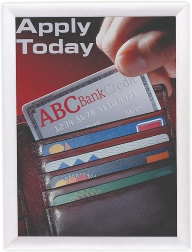 [NPFH2BXA9VBJZGGS] Parrot Polymer Wall Photo Frame (White, 1 Photo(s), 870x625mm)