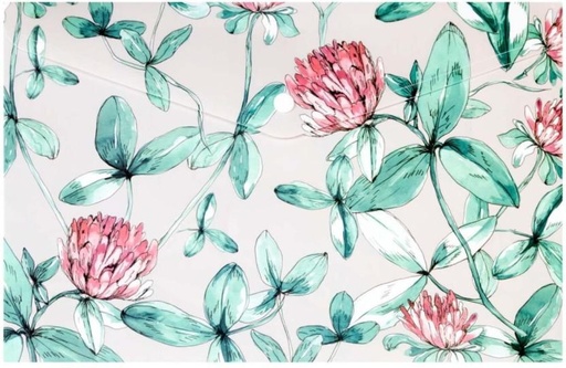 [FFDH7TWRYGFBSMHJ] Bantex Polypropylene (Set of 1, Multicolour)